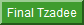 Practice Final Tzadee