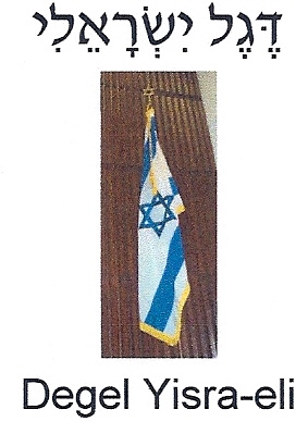 Israeli Flag