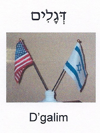 Flags (American and Israeli)