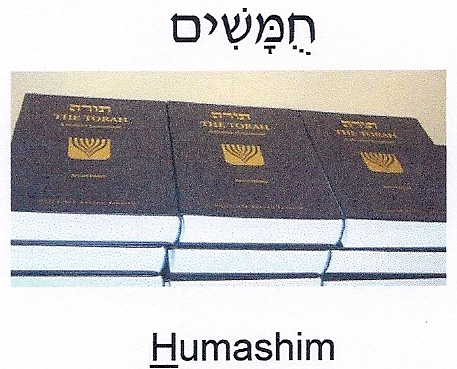 Pentateuch (Torah Books)
